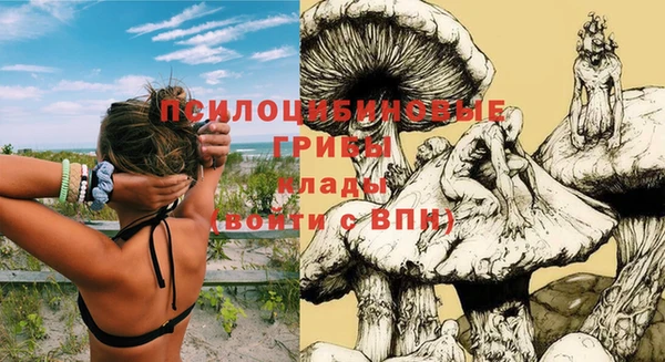 бутират Каменск-Шахтинский