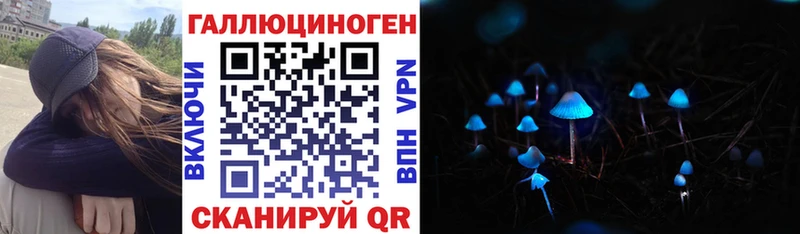 Псилоцибиновые грибы GOLDEN TEACHER  Купить закладки  Выборг 